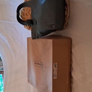 Coach Waverly Bag in Ocean